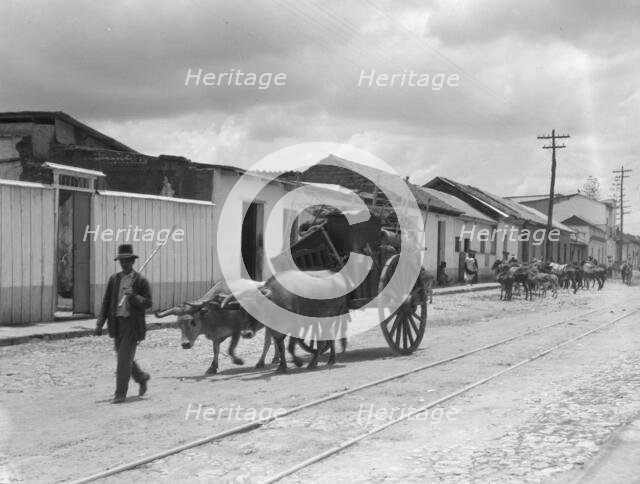 Travel views of Cuba and Guatemala, between 1899 and 1926. Creator: Arnold Genthe.