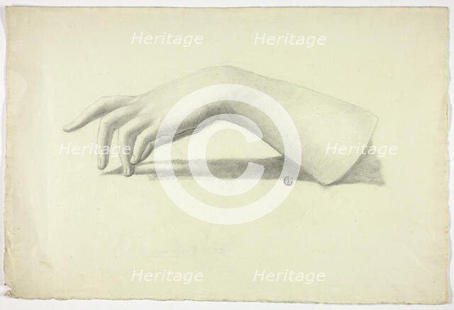 Left Forearm and Hand, n.d. Creator: Elizabeth Murray.