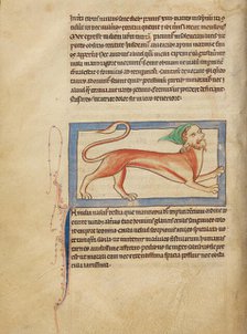 A Manticore; Northumberland Bestiary, about 1250-1260. Creator: Unknown.