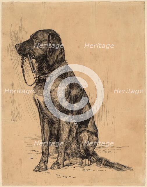 Aldrich's Dog, late 1880s. Creator: Arthur Davies.