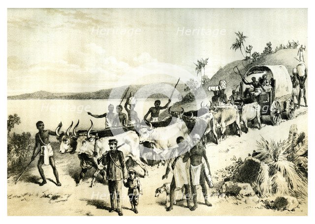 'The Arrival at Lake Ngami', 1883. Artist: Unknown