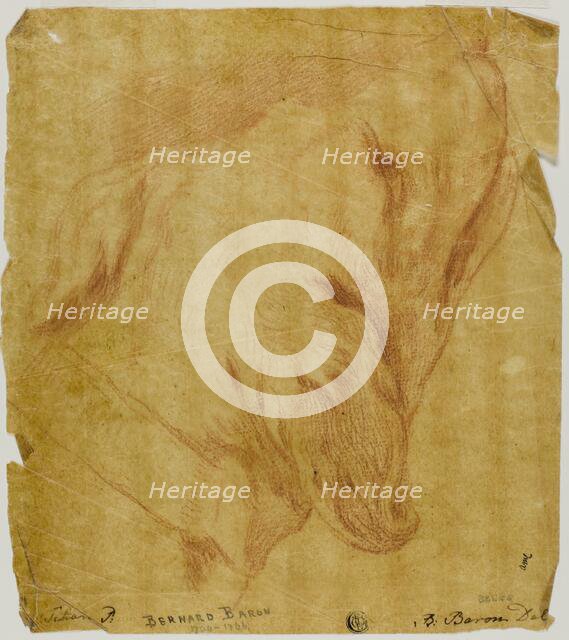 Head of a Dog, n.d. Creator: Bernard Baron.