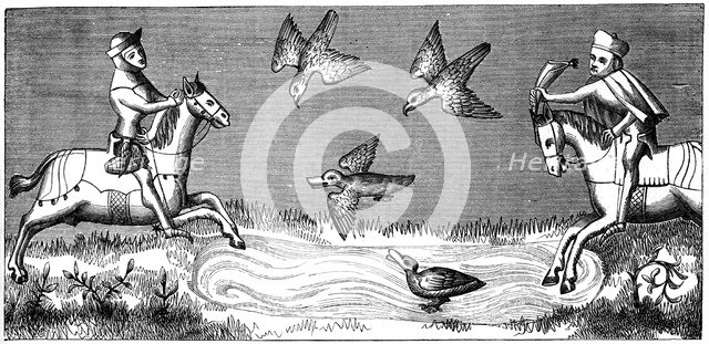 How to bathe a new falcon, 14th century (1849). Artist: Unknown