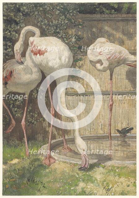 Three Flamingos near a Basin, 1872. Creator: August Allebe.