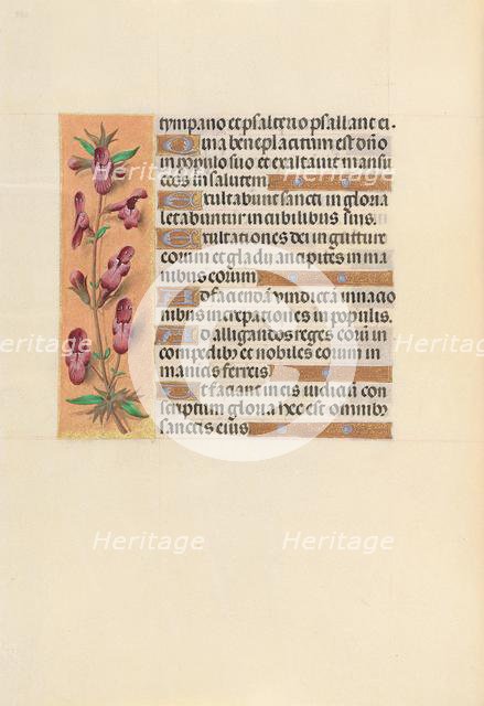 Hours of Queen Isabella the Catholic, Queen of Spain: Fol. 253v, c. 1500. Creator: Master of the First Prayerbook of Maximillian (Flemish, c. 1444-1519); Associates, and.