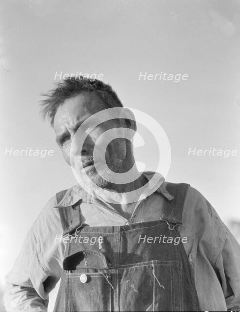 Imperial Valley, California, 1935. Creator: Dorothea Lange.