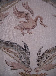 Mosaic, El Jem Museum, El Djem, Tunisia, 2009. Creator: Amanda Waite.