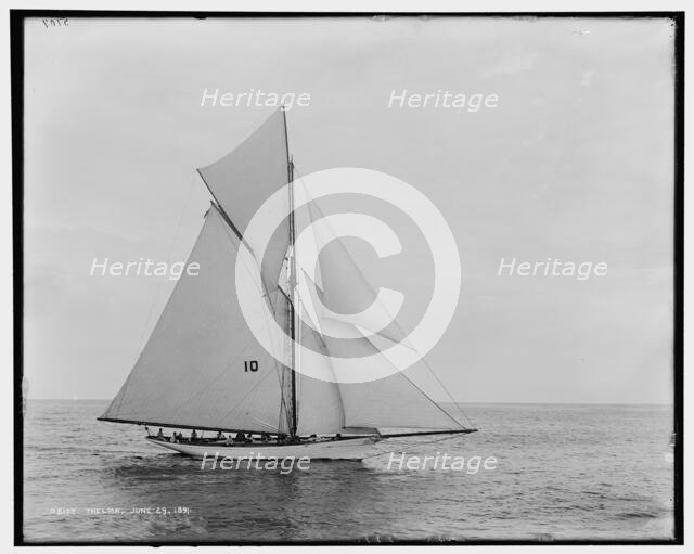 Thelma, 1891 June 29. Creator: Unknown.