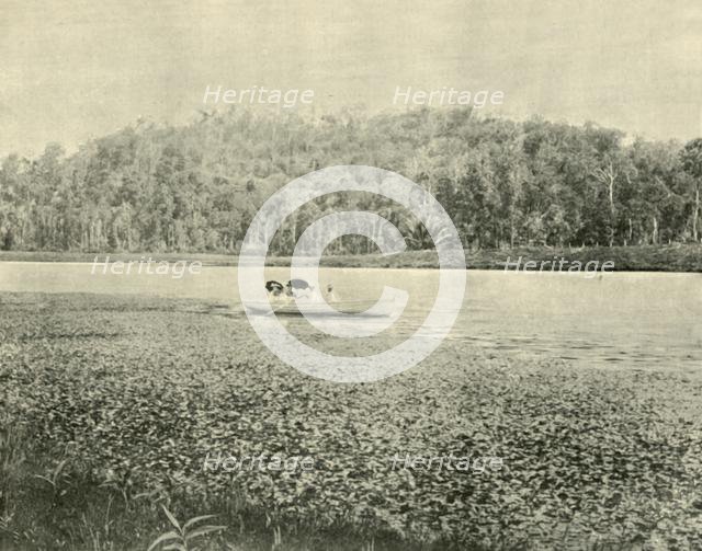 'On the Enoggera Lake', 1901. Creator: Unknown.