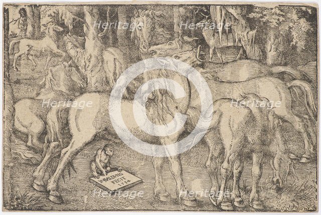Group of Seven Horses, 1534. Creator: Baldung (Baldung Grien), Hans (1484-1545).