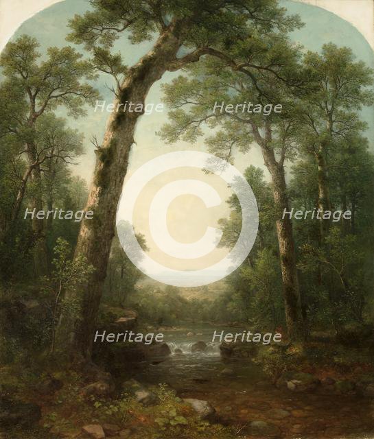 Forest Stream with Vista, 1872. Creator: Asher Brown Durand (American, 1796-1886).
