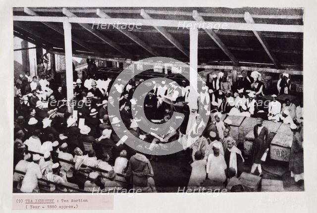 Tea auction, probably in Calcutta, India, c1880. Creator: Bourne & Shepherd.