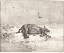 Dead Horse, 1823. Creator: Theodore Gericault.