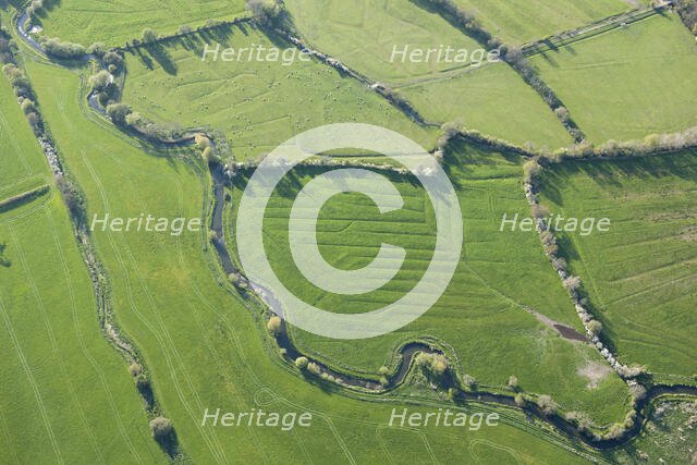 Water meadows along the River Frome, Kingston Maurward, Dorset, 2015. Creator: Historic England.