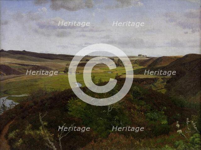 Dollerup Hills near Hald, 1869. Creator: Vilhelm Kyhn.