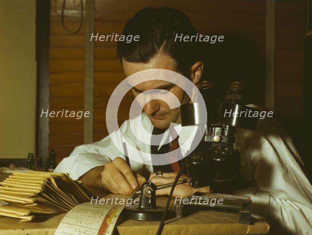 Geologist examining cuttings from wildcat well, Amarillo, Texas, (1943?). Creator: John Vachon.