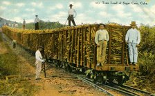 'Train Load of Sugar Cane, Cuba', c1910s. Creator: Unknown.