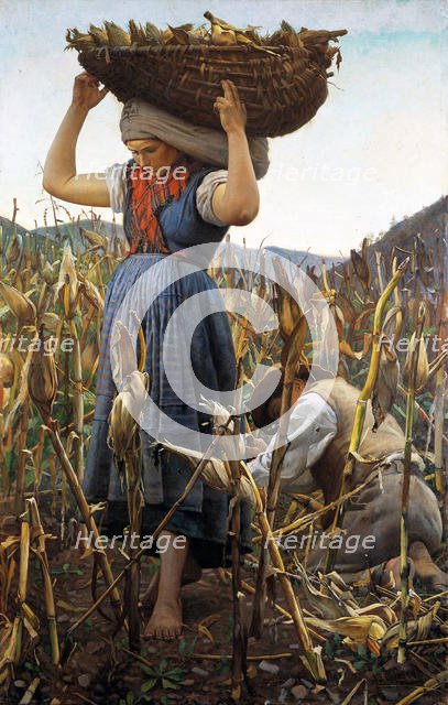 La raccolta del granoturco (The maize harvest), 1881. Creator: Glisenti, Achille (1848-1906).