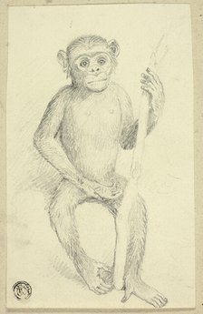 Orangutang, n.d. Creator: Edwin Henry Landseer.