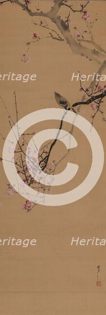Japanese nightingale, on a red plum branch, 1910. Creator: Seitei (Shotei); Watanabe (1851-1918).
