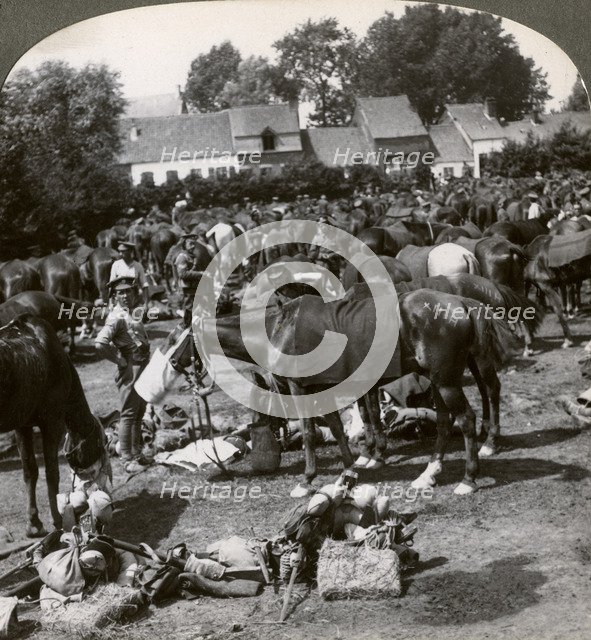 Troops feeding their horses and resting on the march, World War I, 1914-1918.Artist: Realistic Travels Publishers