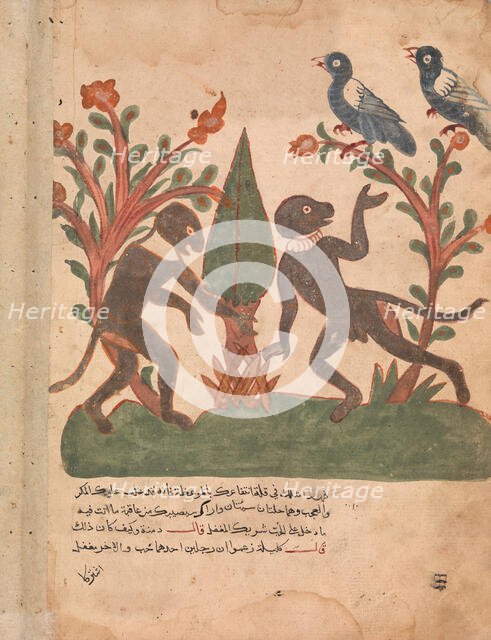 The Birds and the Monkeys with the Glow Worm, Folio from a Kalila wa Dimna, 18th century. Creator: Unknown.