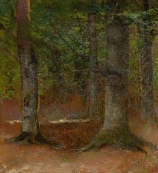 Study of Forest, 1890-1900. Creator: Ladislav Mednyanszky.