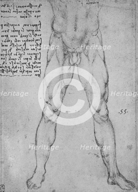 'Study of the Lower Half of a Nude Man Facing to the Front', c1480 (1945). Artist: Leonardo da Vinci.