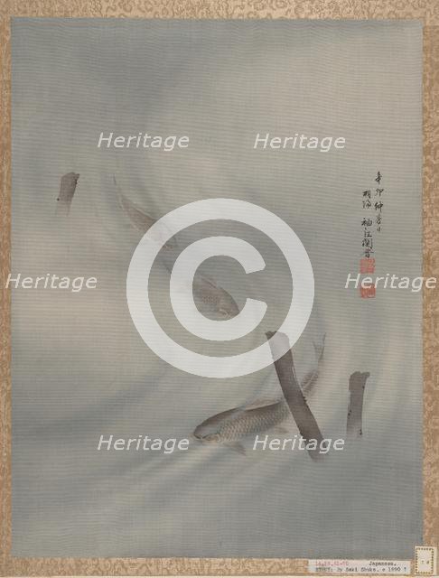 Fishes Swimming, Summer, 1891. Creator: Seki Shuko.