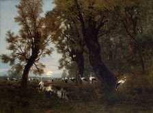 A Gathering of Storks, 1879. Creator: Wladyslaw Malecki.