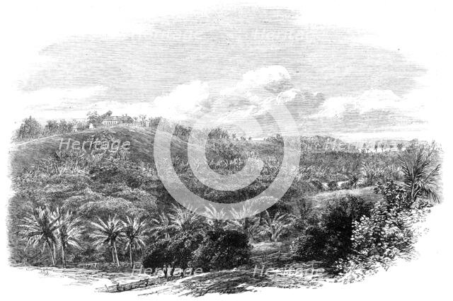 The Outbreak in Jamaica: Muirton House and Plantation, Morant Bay, 1865. Creator: Unknown.