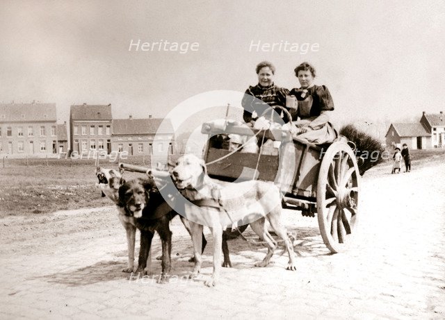 Dogs pulling women on a cart, Antwerp, 1898.Artist: James Batkin