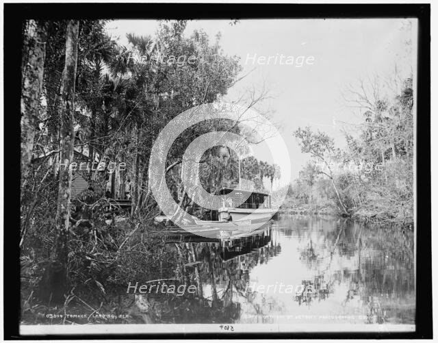 Tomoka landing, Fla., c1900. Creator: Unknown.