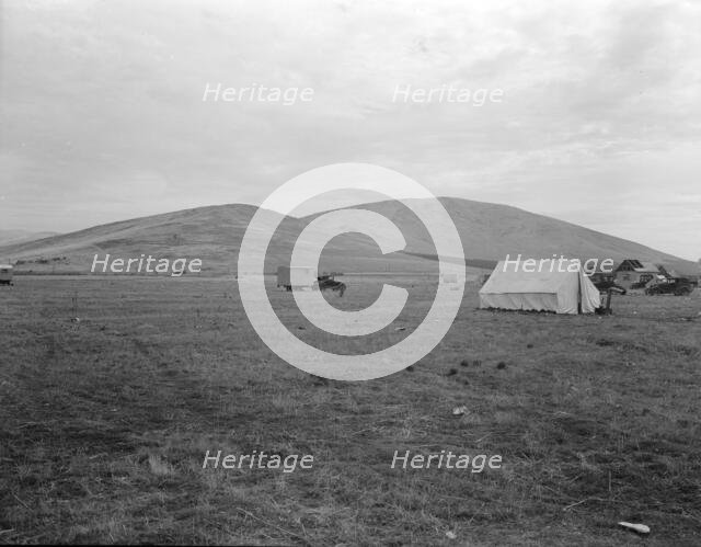 Awaiting the opening of orange picking season, near Porterville, California, 1936. Creator: Dorothea Lange.