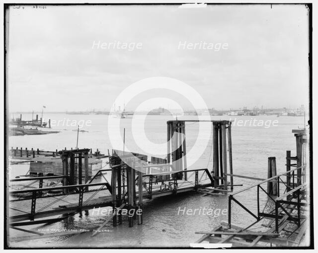 The City from Algiers, New Orleans, Louisiana, c1900. Creator: Unknown.