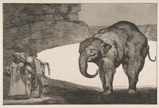 Plate C from the 'Disparates': Animal Folly, ca. 1816-23 (published before 1877). Creator: Francisco Goya.