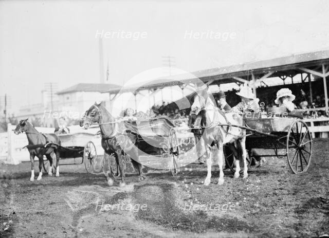Horse Shows - Children And Ponies, 1912. Creator: Harris & Ewing.