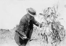 Gaynor in the cornfields, St. James, L.I., 1910. Creator: Bain News Service.