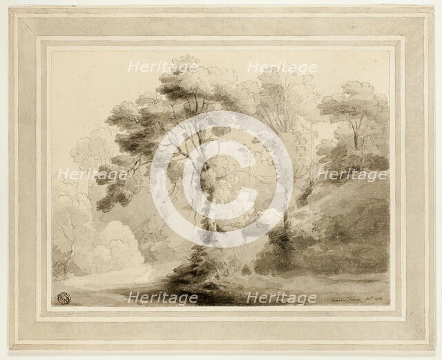 Wooded Landscape, 1774. Creator: Francis Towne.