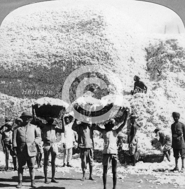 Men carrying baskets of cotton at an Indore cotton mill, India, 1900s. Artist: Unknown