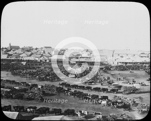 Morning market, Kimberley, South Africa, c1890. Artist: Unknown
