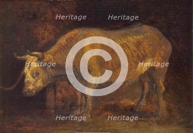 An Ox Standing, 1644. Creators: Rembrandt Harmensz van Rijn, School of Rembrandt van Rijn.