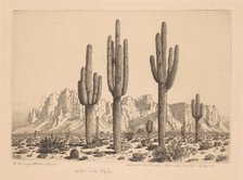 Desert Sentinels, Apache Trail, Arizona, c. 1930. Creator: George Elbert Burr.