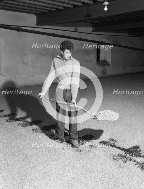 Glenlivet Distillery, Scotland, c1955. Creator: Arthur Charles Kirby Ware.