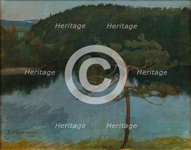 Pine tree by the shore, 1900.