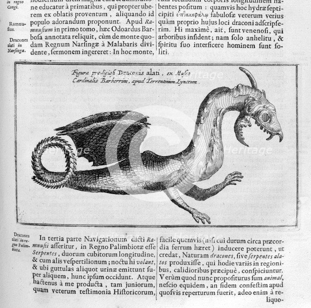 Dragon, 1678. Artist: Athanasius Kircher