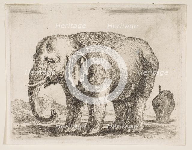 Plate 10: elephant, from 'Various animals' (Diversi animali), ca. 1641. Creator: Stefano della Bella.