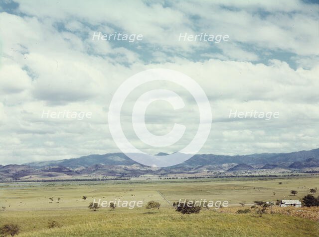 In the flat cattle country in the south western tip of Puerto Rico, 1942. Creator: Jack Delano.