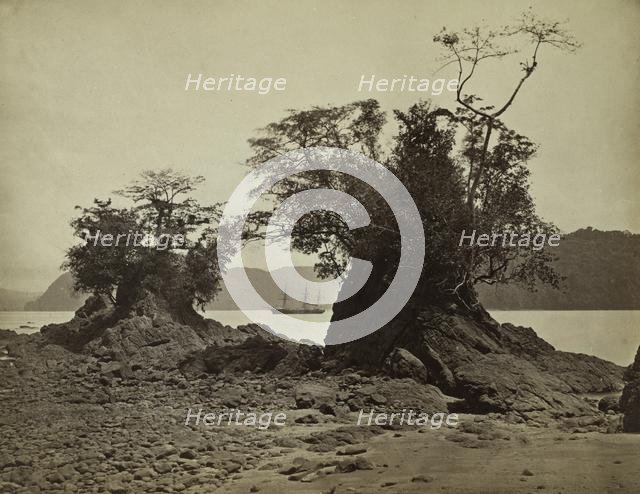 Islands in Limón Bay, 1871. Creator: John Moran (American, 1829-1902).