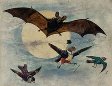 A bat and three fully dressed birds flying by moonlight, 1900. Creator: George Hope Tait.